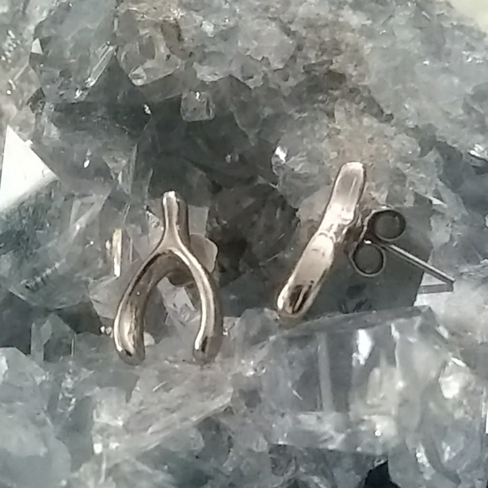 Wishbone Earrings
